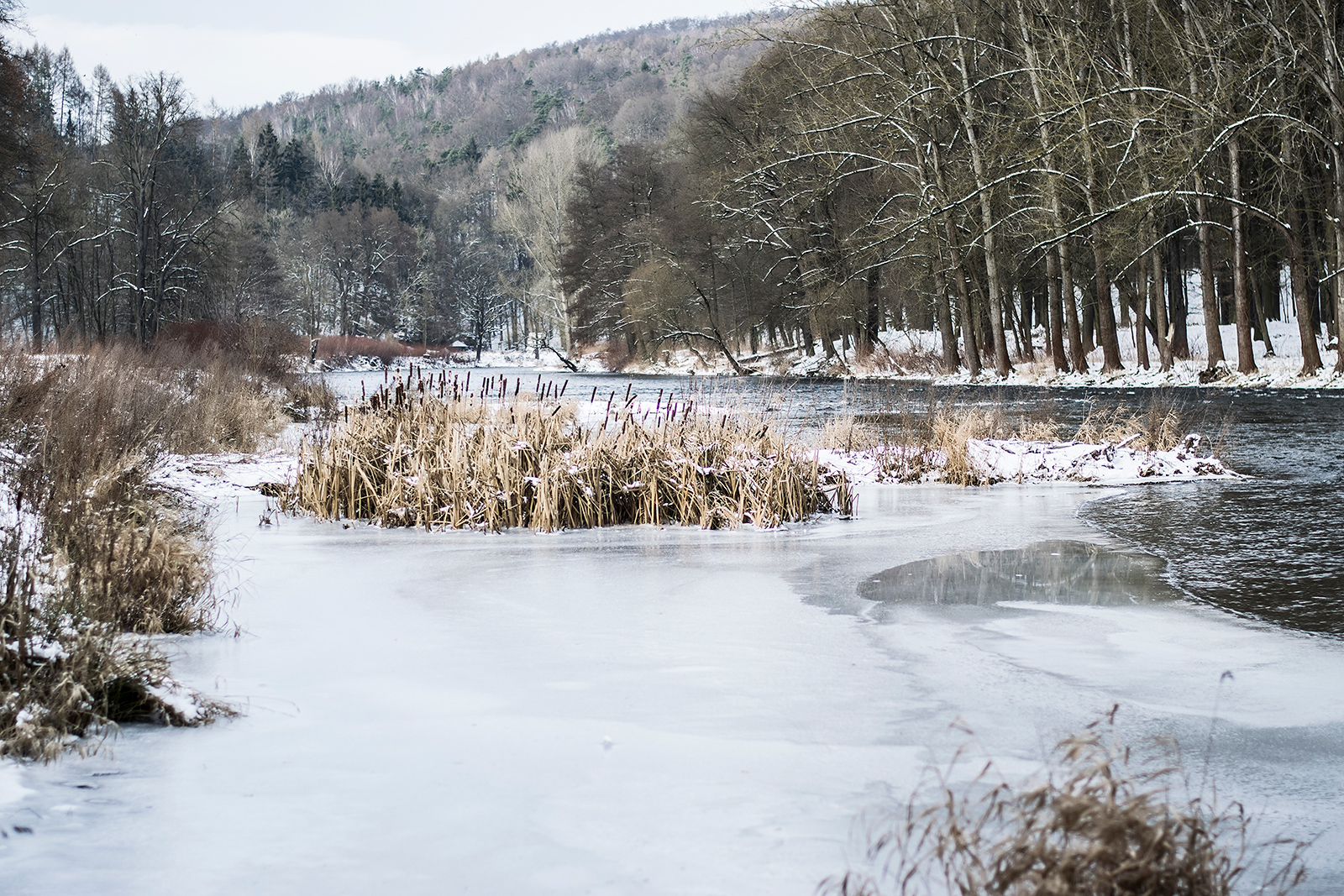 Inked Beauties / Copyright by Markus Wuestefeld